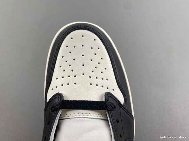 Rep LUCY Mocha CZ0790-102 Jordan Low 1 OG Air 0712
